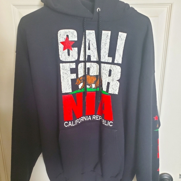 Hanes Other - 🐻Hanes hoodie🌲